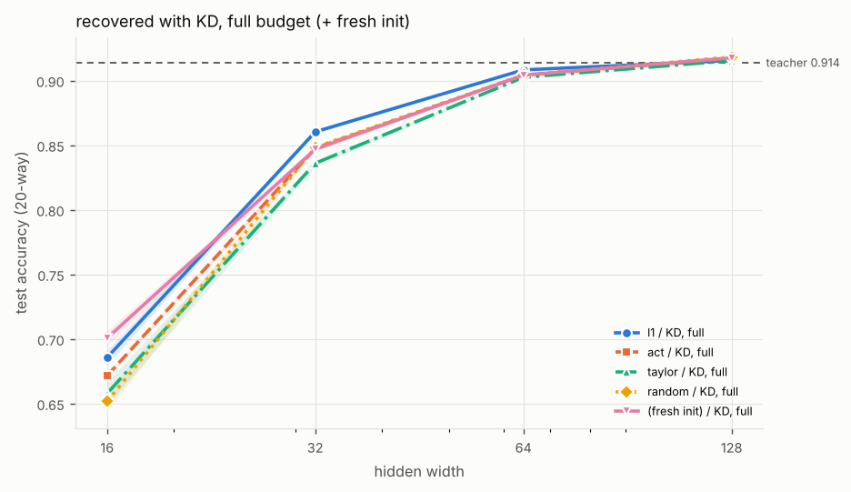 Line chart of test accuracy (20-way) against hidden width (log scale), one line per configuration, with a dashed reference line for the teacher. Titled “recovered with KD, full budget (+ fresh init)”. The numbers are in the experiment's full table on the Results page.