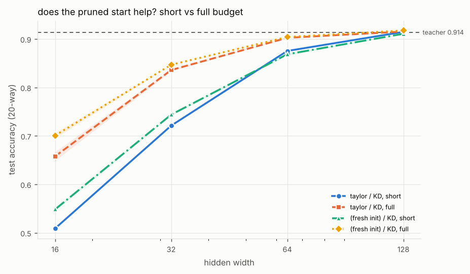Line chart of test accuracy (20-way) against hidden width (log scale), one line per configuration, with a dashed reference line for the teacher. Titled “does the pruned start help? short vs full budget”. The numbers are in the experiment's full table on the Results page.