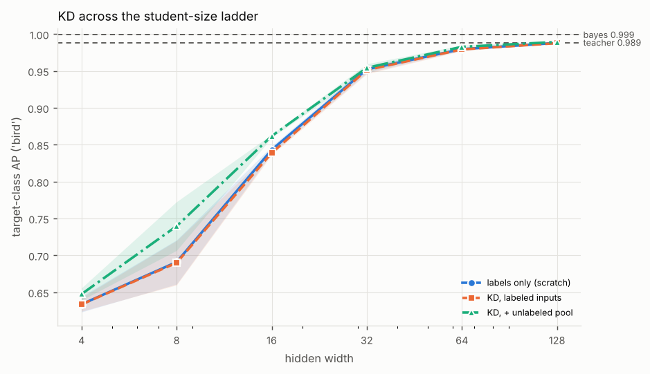 Line chart of target-class AP ('bird') against hidden width (log scale), one line per method, with a dashed reference line for the teacher and the Bayes-optimal classifier. Titled “KD across the student-size ladder”. The numbers are in the experiment's full table on the Results page.